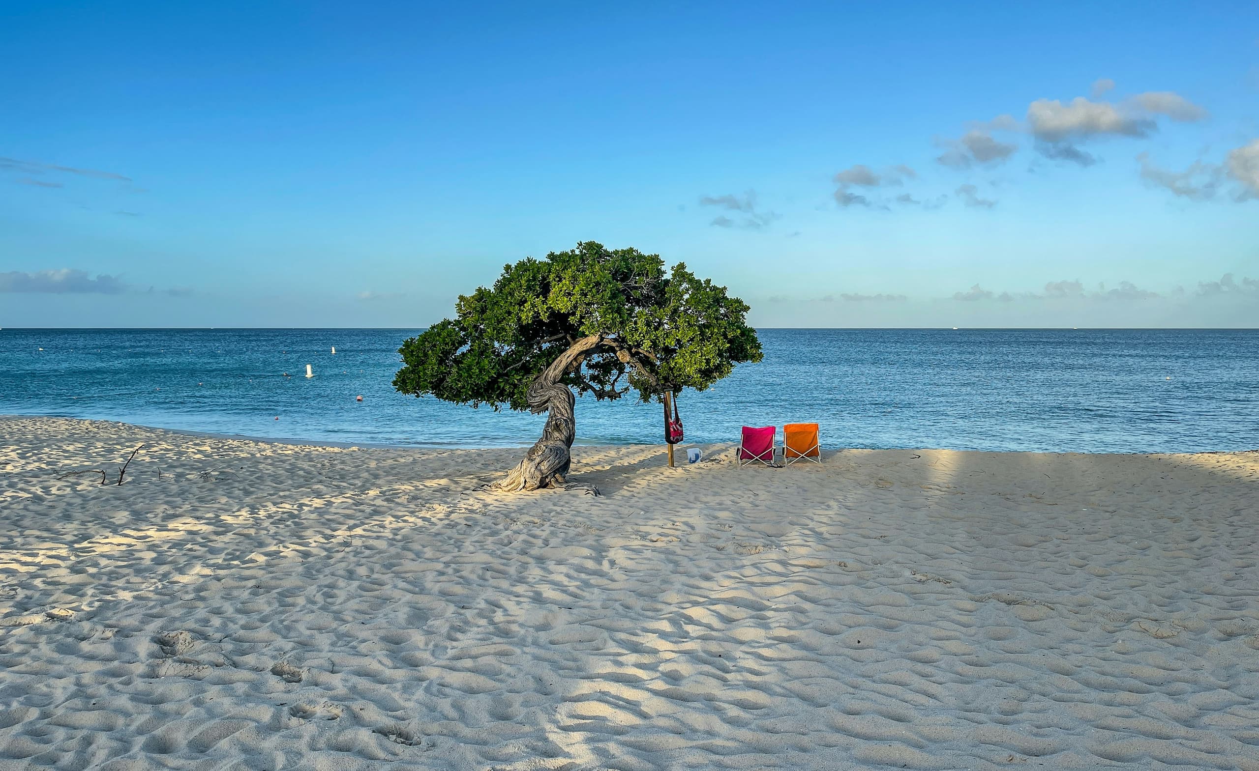 Aruba image 3