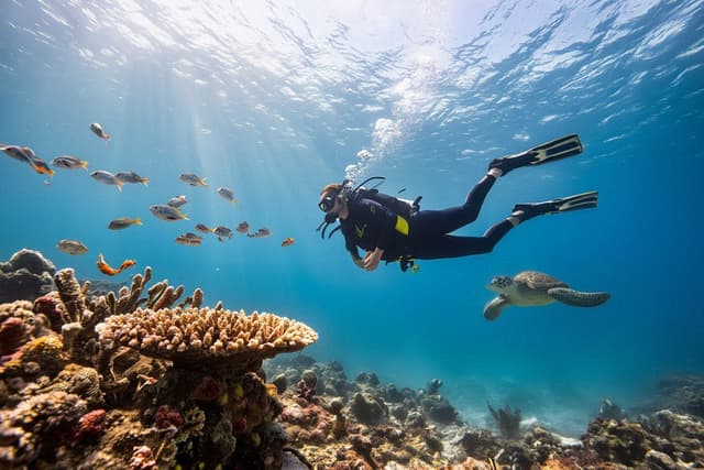 Scuba Diving at Ningaloo Reef