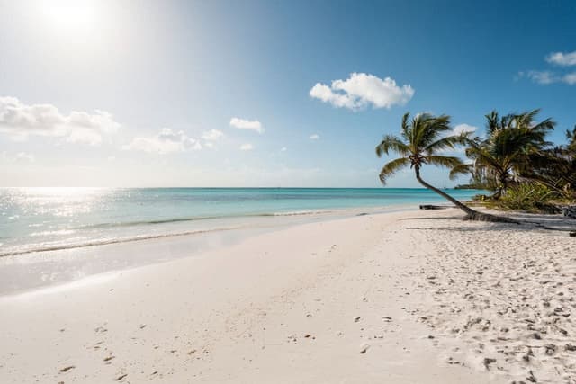 Tropic of Cancer Beach