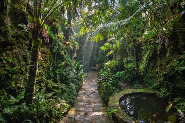 Hunte’s Gardens Nature Walk