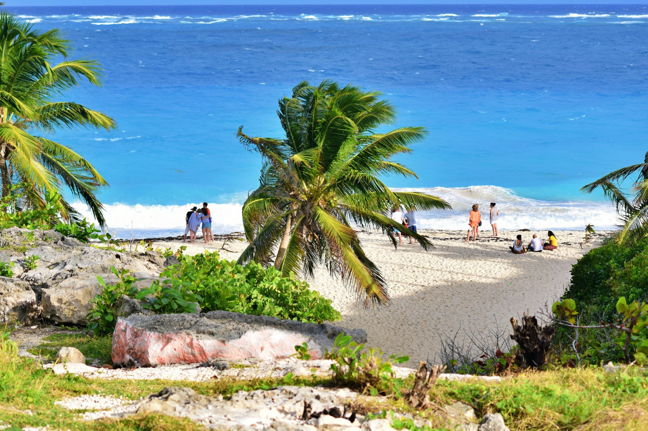 Barbados image 3