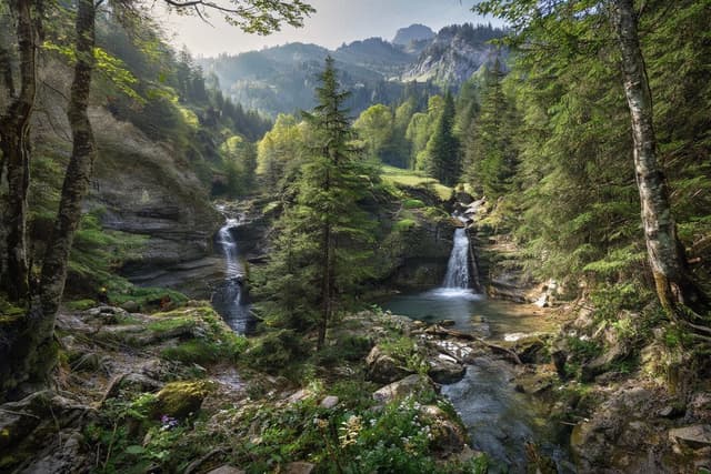 Central Balkan National Park