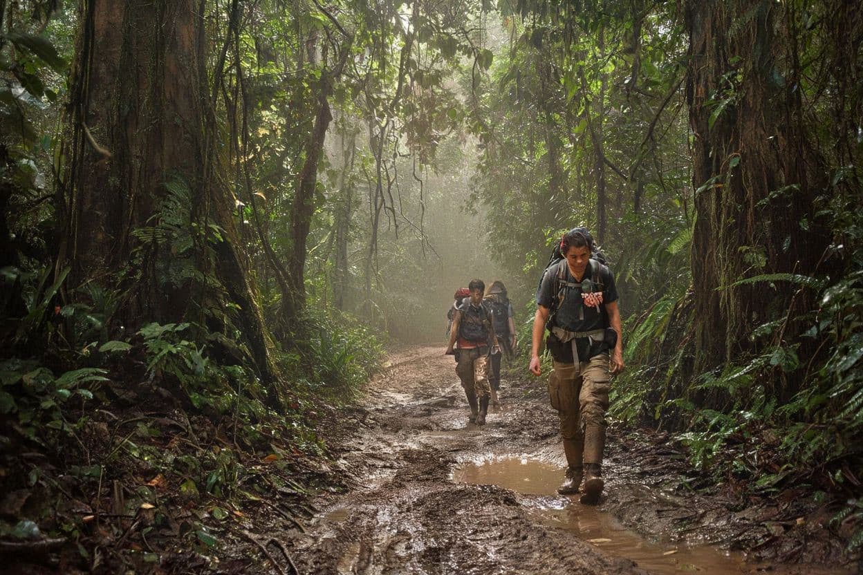 Jungle Trekking in Cardamom Mountains