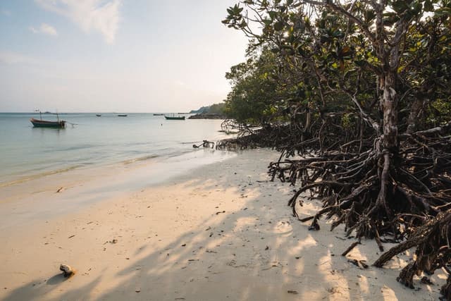 Ream Beach & National Park Coast