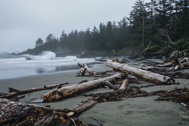 Pacific Rim National Park Reserve