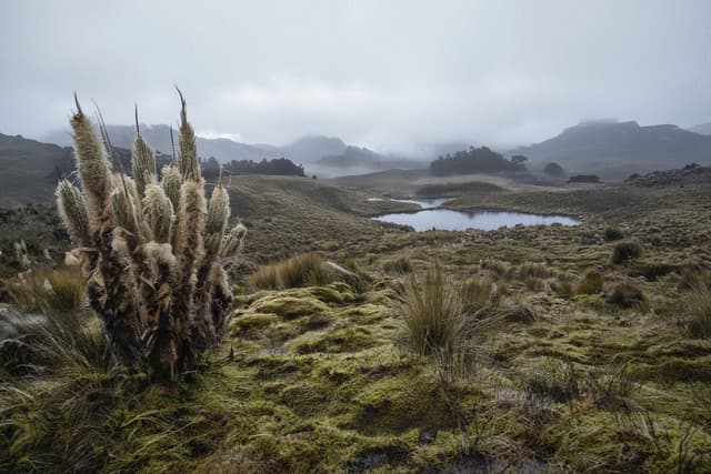 Chingaza National Natural Park