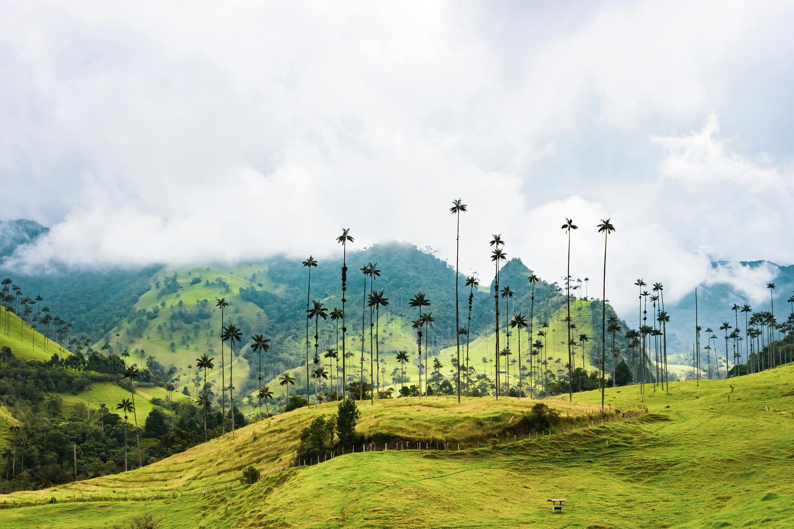 Colombia image 3