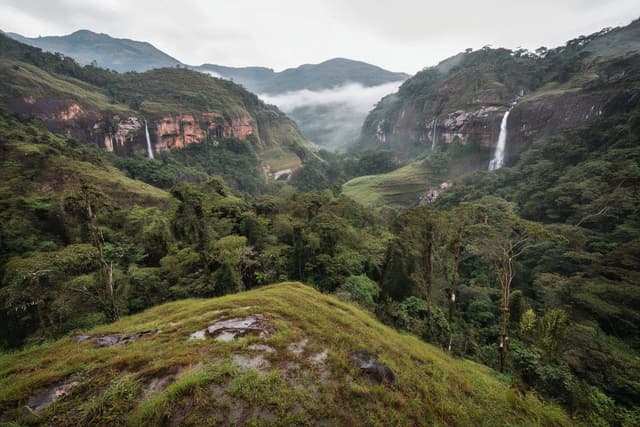 Serrania de la Macarena