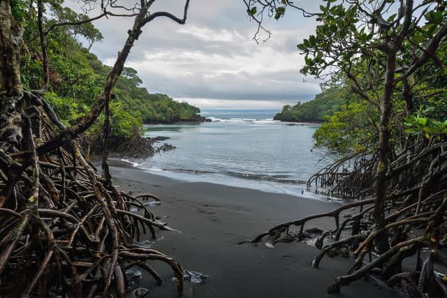 Utria National Natural Park