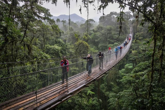 Hanging Bridges Walk