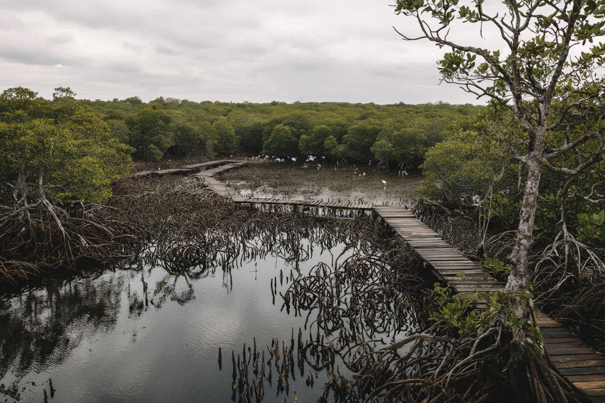 Cienaga de Zapata National Park