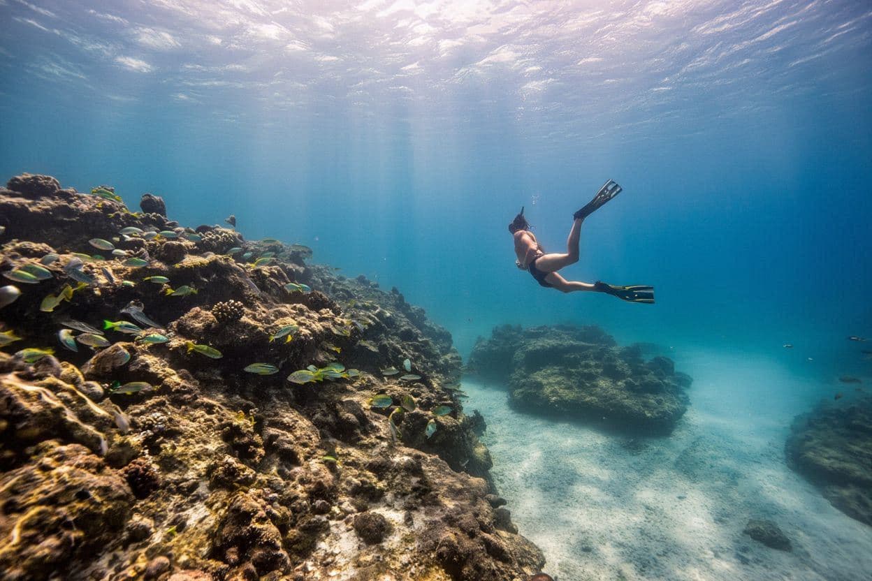 Diving in Playa Giron (Bay of Pigs)