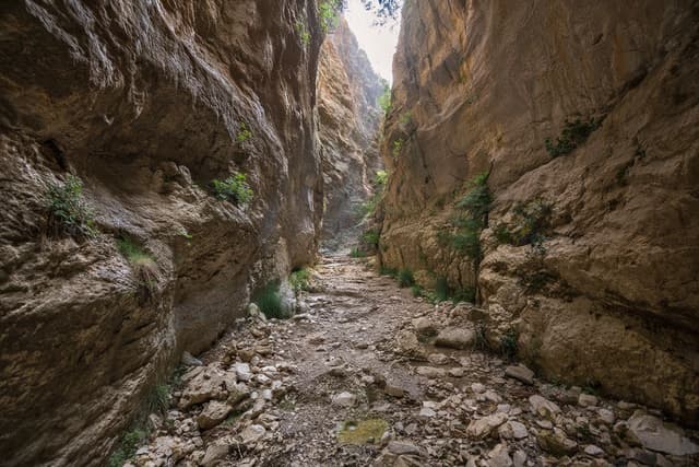 Avakas Gorge