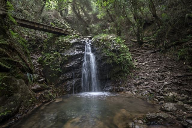 Caledonia Waterfalls