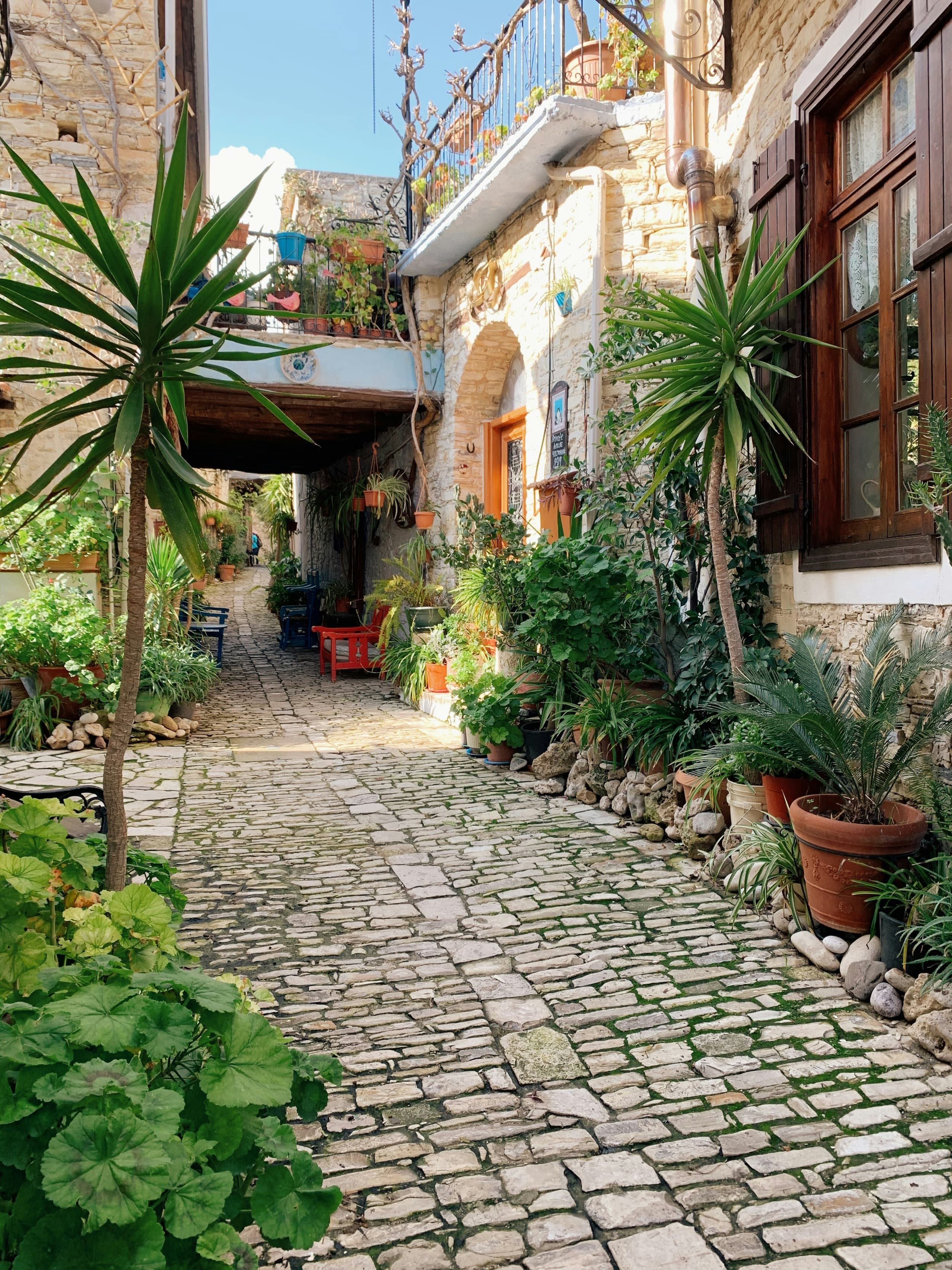 Cyprus image 3