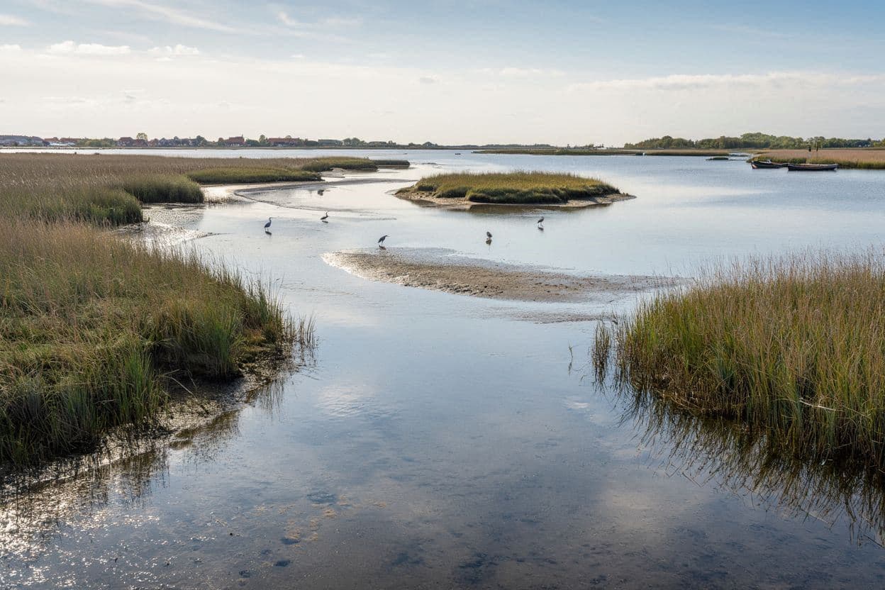 Limfjord Wetlands & Islands