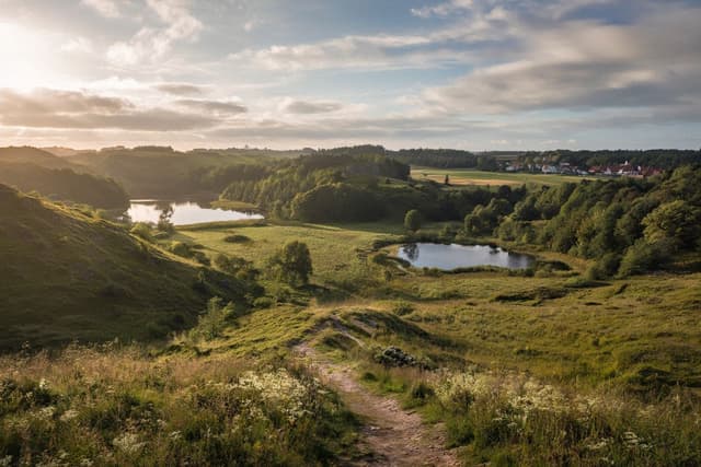 Mols Bjerge National Park