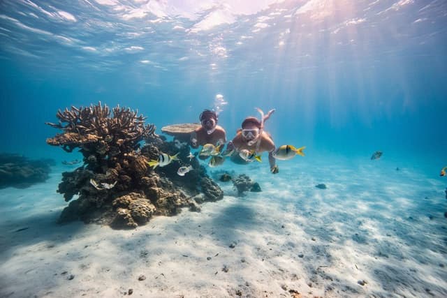 Snorkeling at Catalina Island