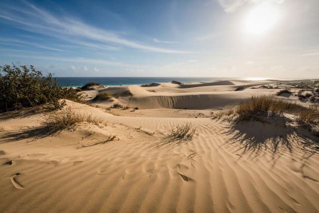 Dunes of Bani