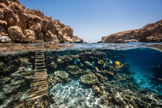 Ras Um Sid – Sharm El Sheikh