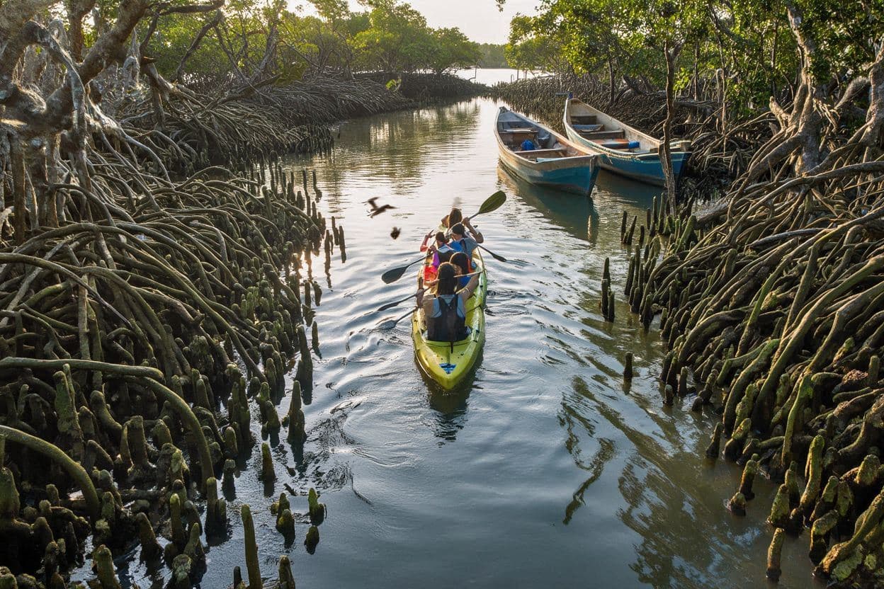 Kayaking & Mangrove Tours in Jiquilisco Bay