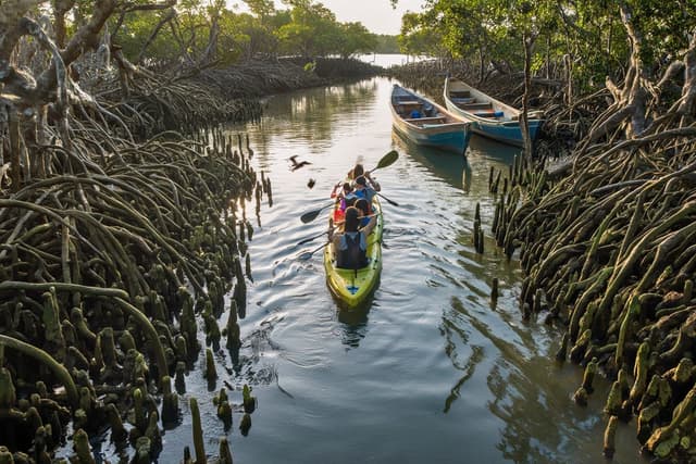 Kayaking & Mangrove Tours in Jiquilisco Bay
