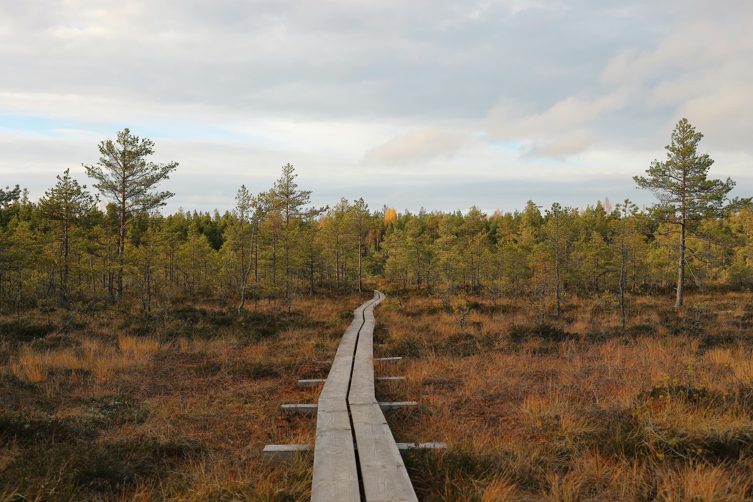 Estonia image 2