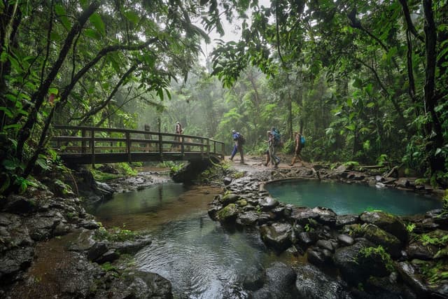 Colo-i-Suva Forest Park