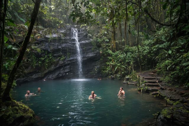 Waterfall Swimming in Colo-i-Suva Forest Park
