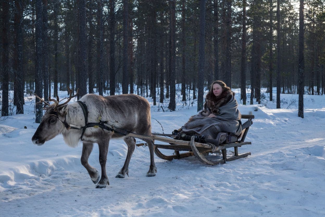 Reindeer Sleigh Rides