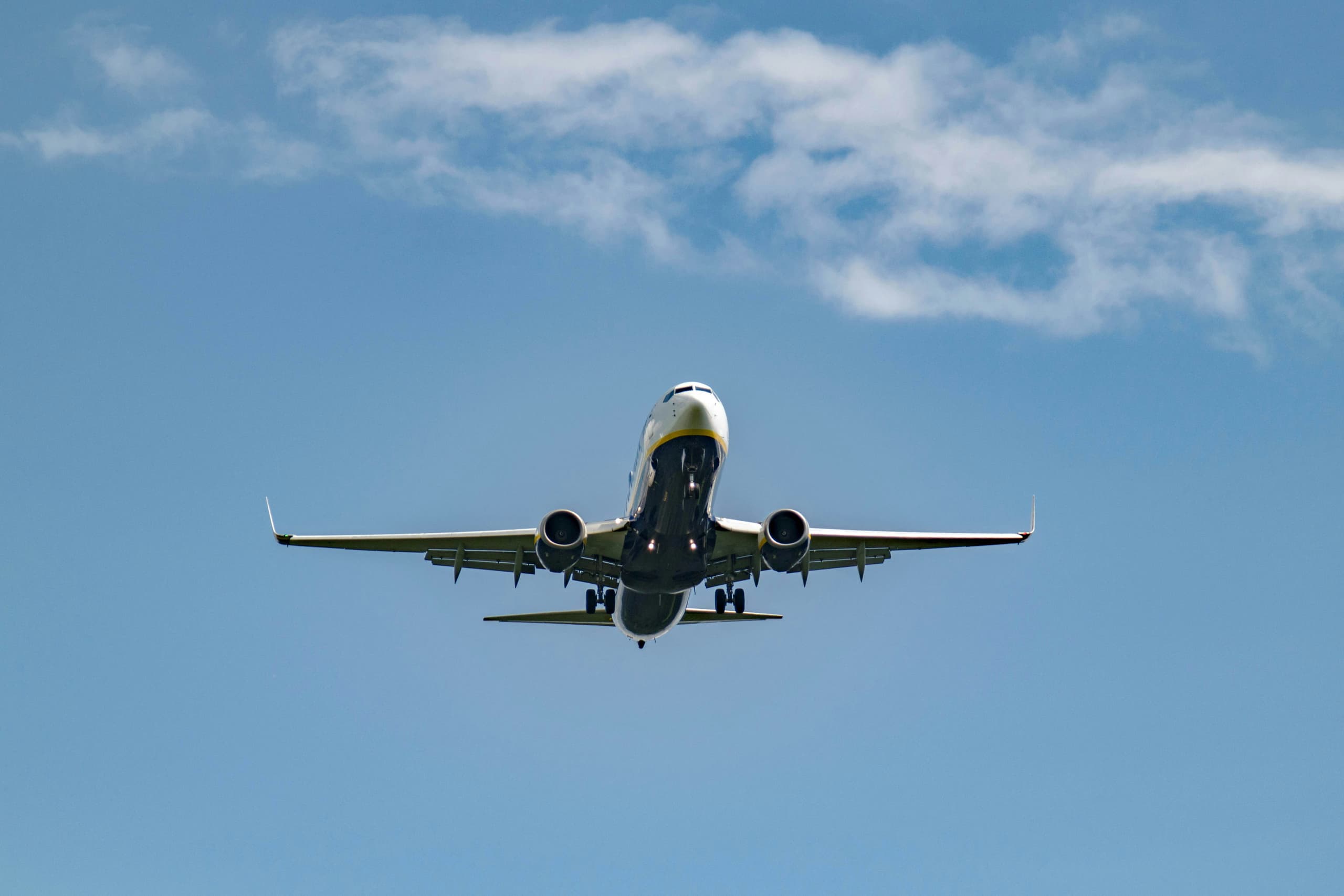 Google Flights