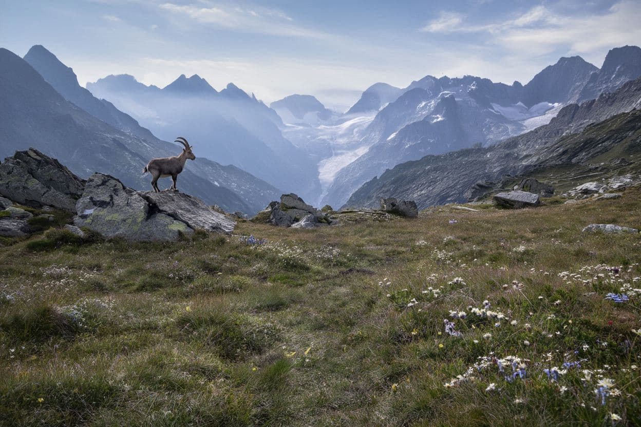 Vanoise National Park