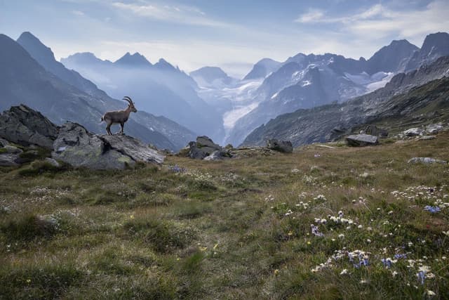 Vanoise National Park