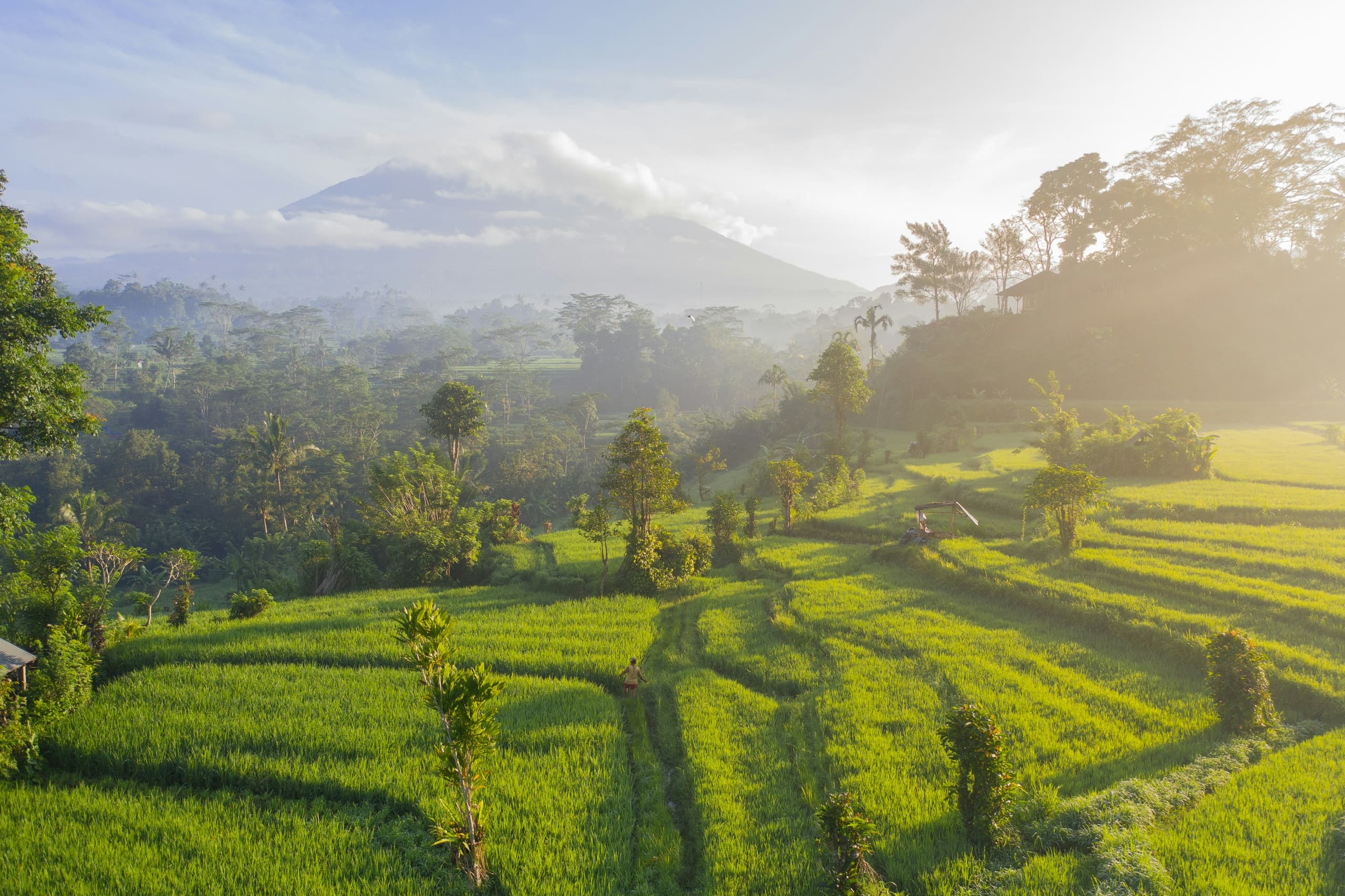 Indonesia image 2