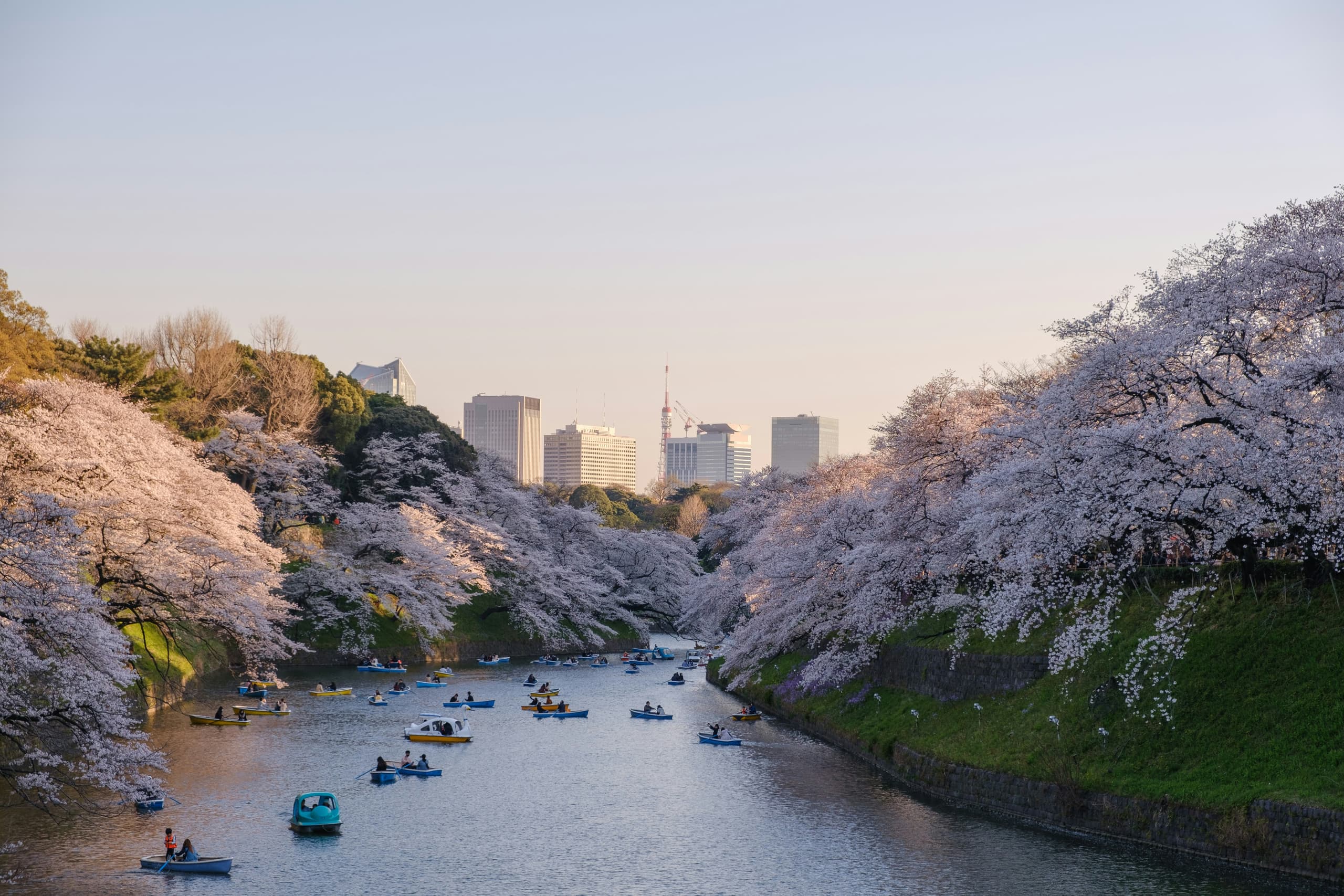 Japan image 3