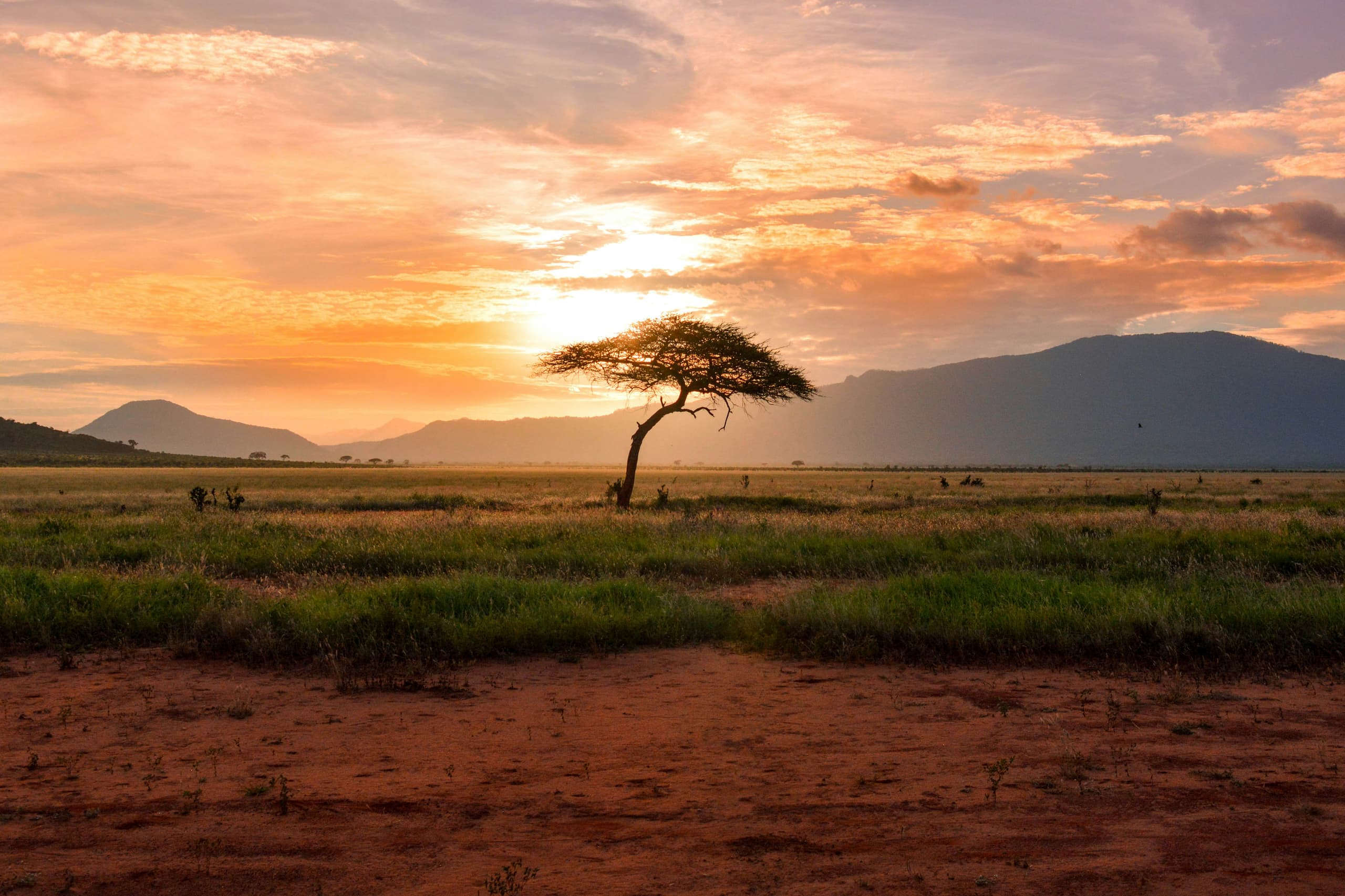 Kenya image 3