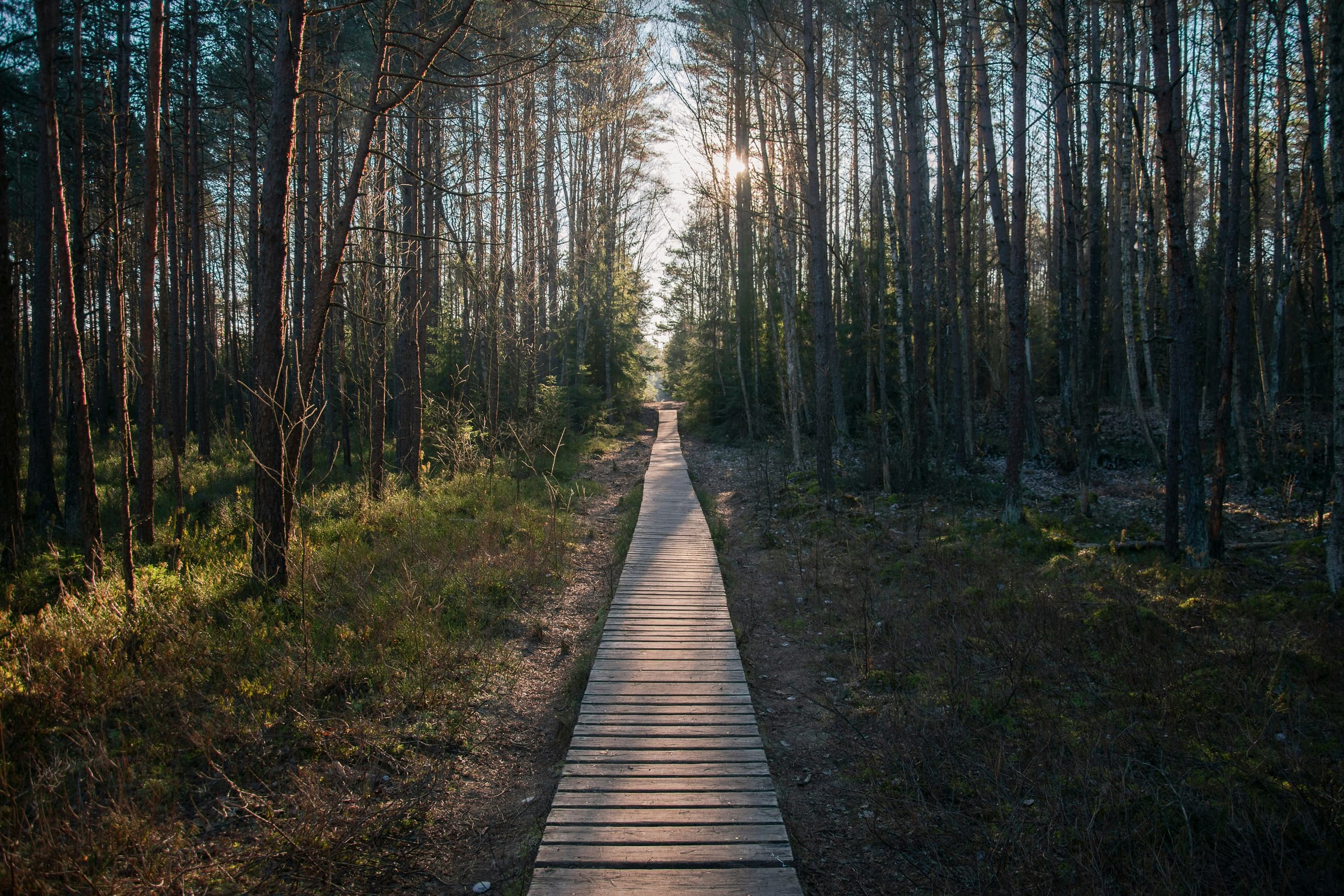 Lithuania image 3