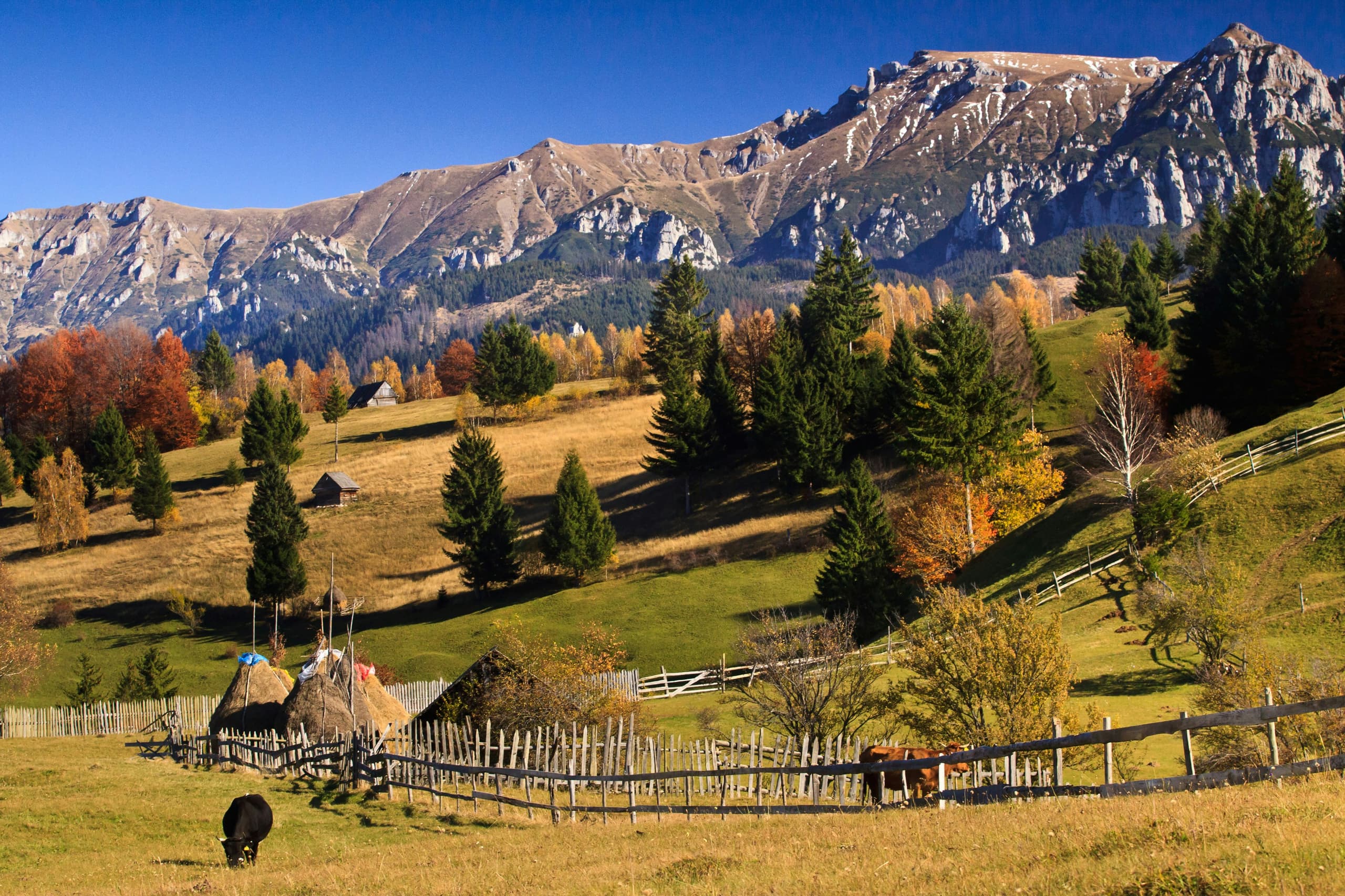 Romania image 3