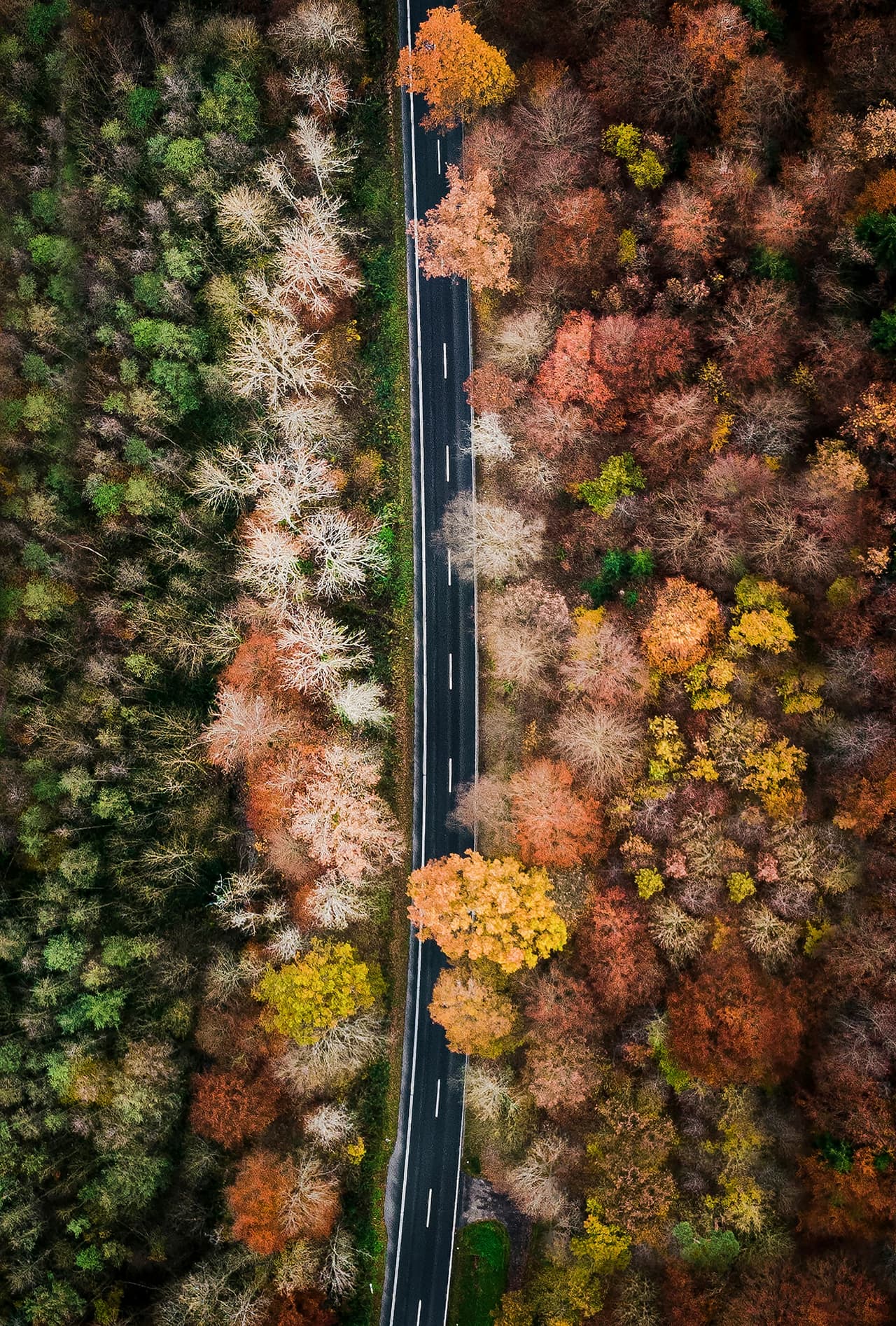 Best Time to Visit