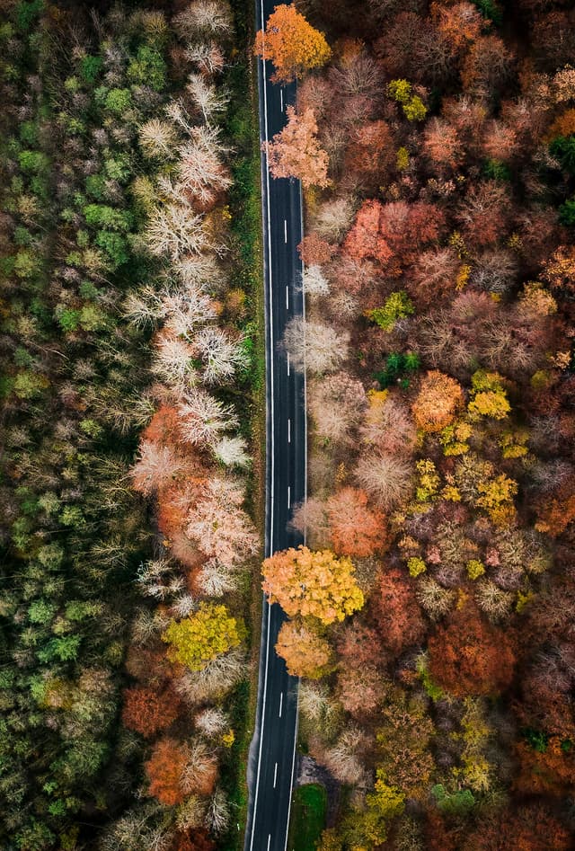 Best Time to Visit