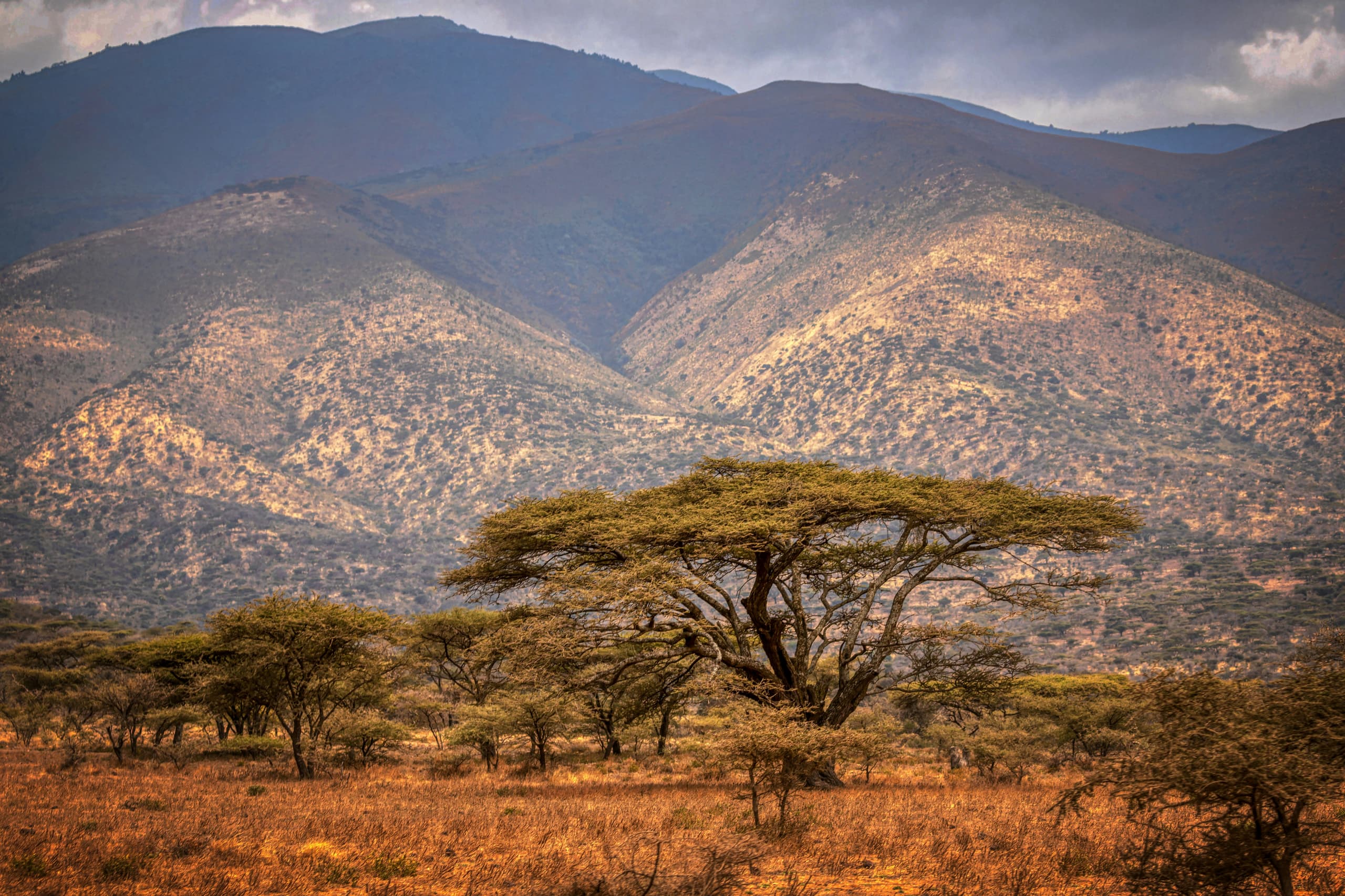 Tanzania image 3