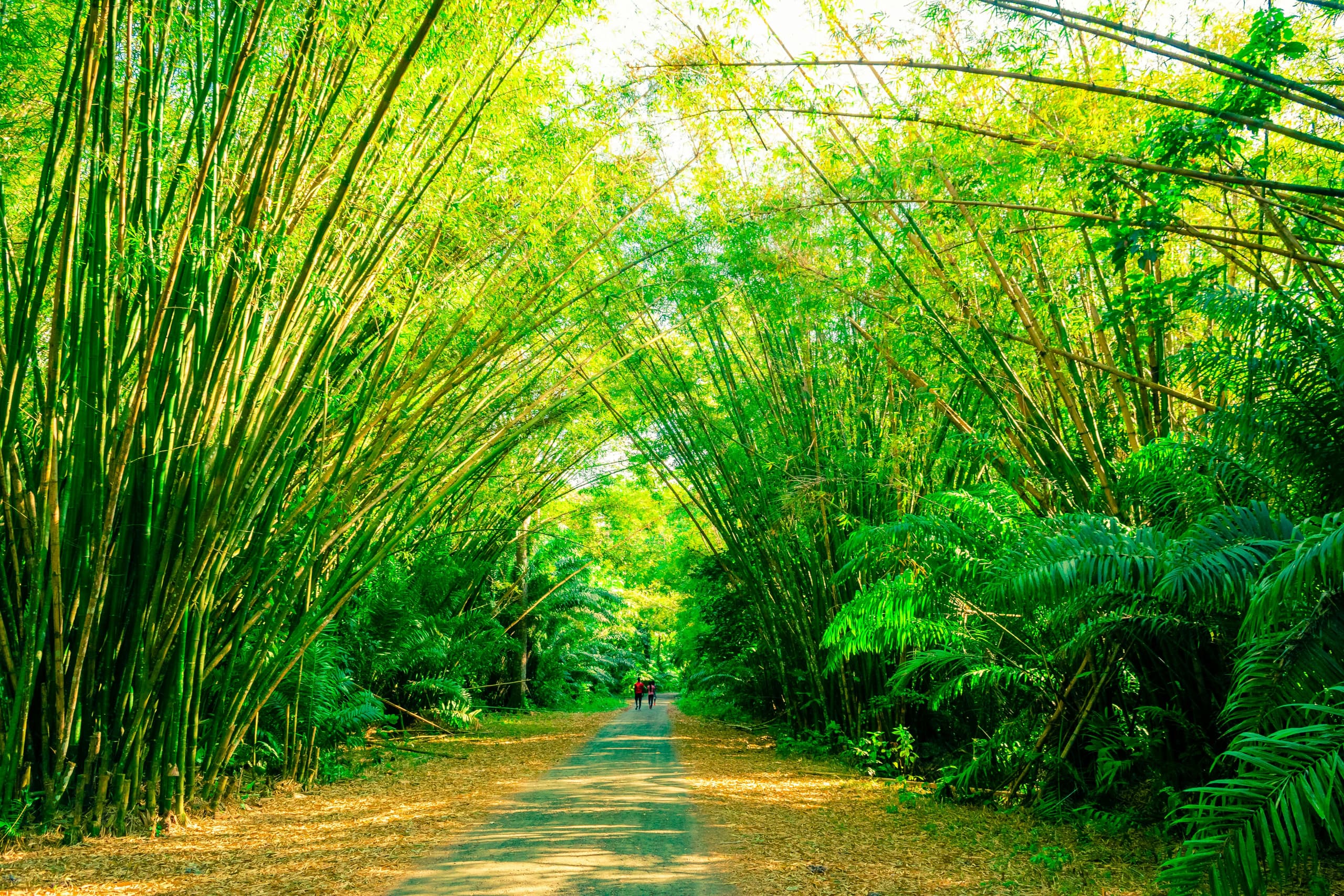 Trinidad and Tobago image 3