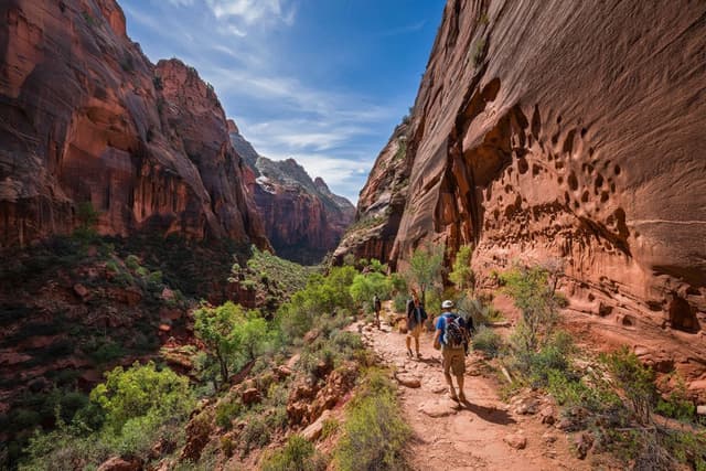 Hiking in Zion National Park