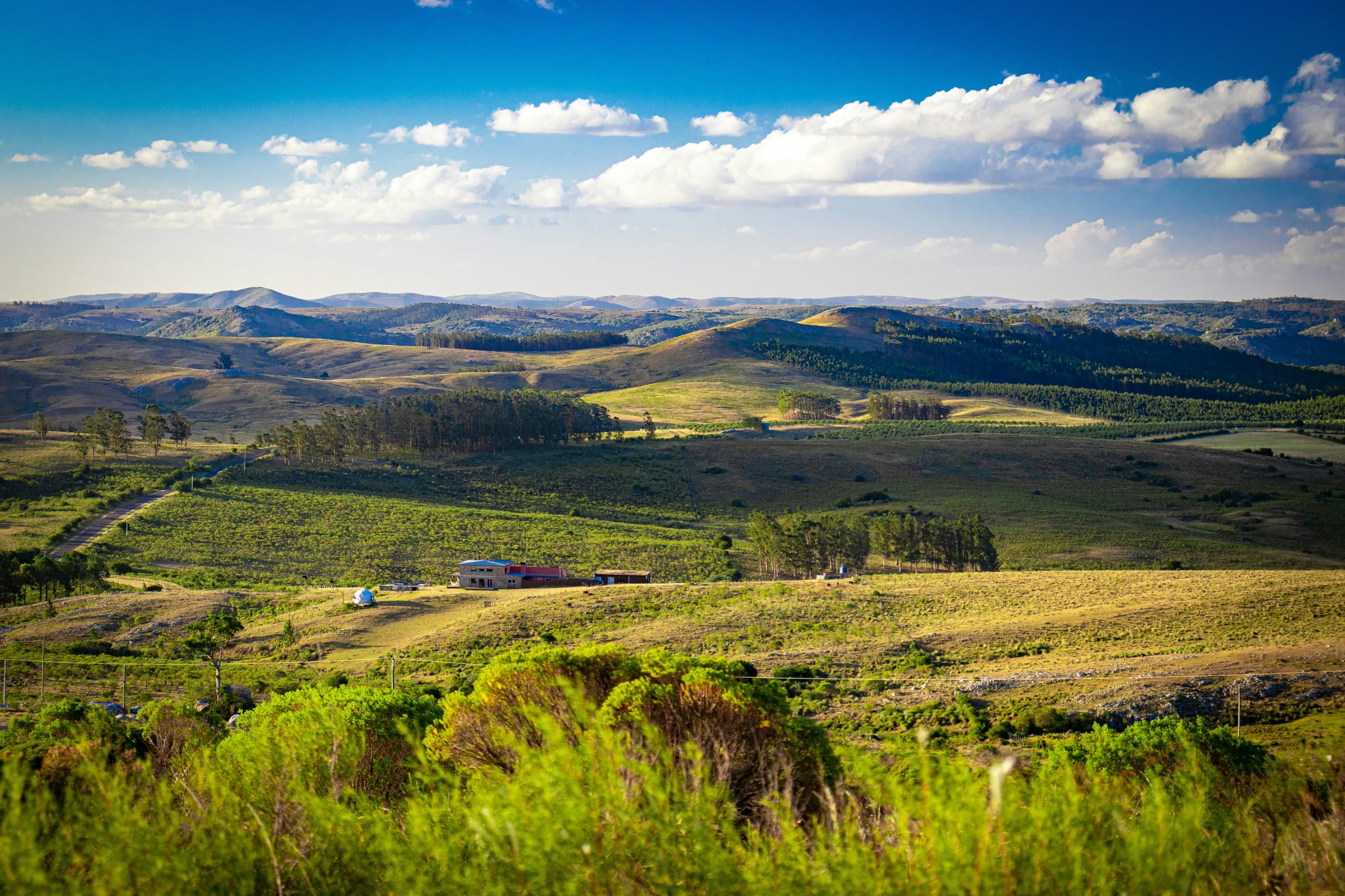 Uruguay image 3